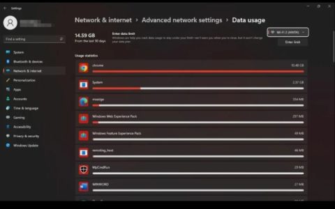 如何阻止Windows11使用大量数据