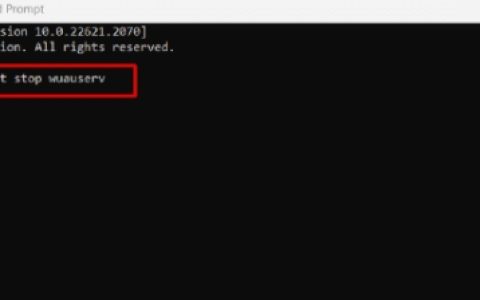 修复Windows11中的IntelliGo扩展100.1.4.1273下载错误