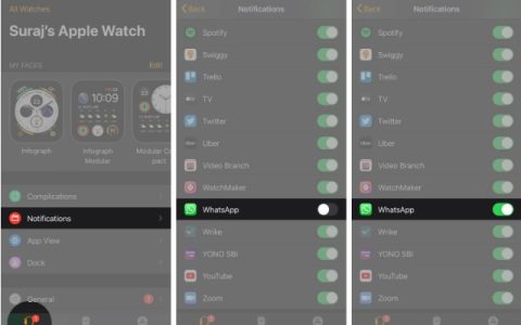 如何在Apple Watch上使用WhatsApp