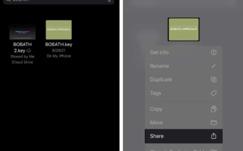如何在iPhone、iPad和Mac上将Keynote演示文稿转换为PowerPoint