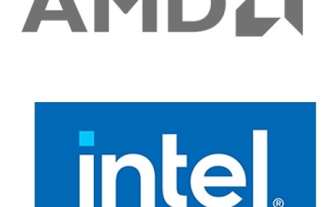 AMD 和 Intel 处理器可以一起工作吗？