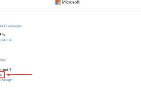 修复Windows11中无法从Microsoft Store下载Alexa应用程序