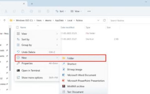 修复Windows11或10中Roblox无法创建目录错误
