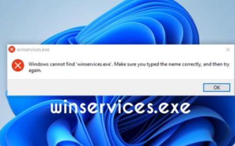 Win上的“winservices.exe”是什么？修复错误的方法