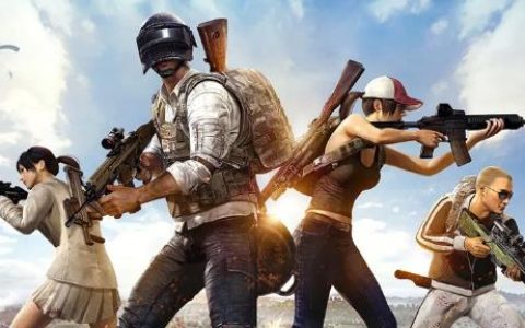 如何修复Win11/10中的PUBG：绝地求生不保存设置