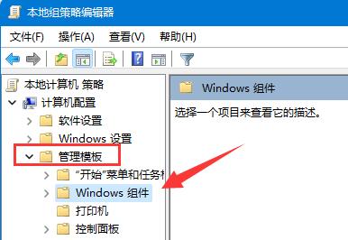如何在Windows11中启用/禁用自动驱动程序更新