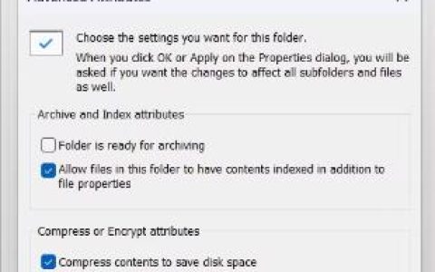 在Windows11/10中禁用文件压缩的​​4种方法