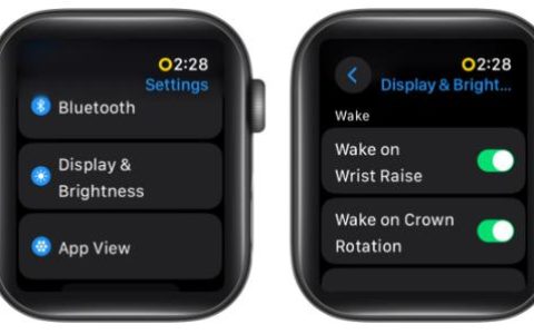 Apple Watch双击手势不起作用？9种解决方法