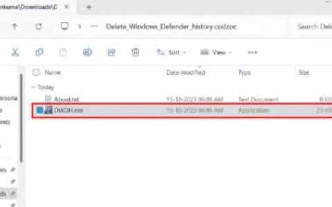 修复Windows11中无法删除检测历史记录的问题