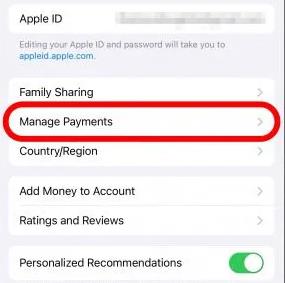 如何通过家人共享更改iPhone上的付款方式(iOS17)
