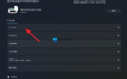 Brother打印机无法在Windows11上运行