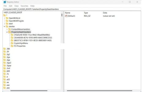 Windows11的“属性”窗口中缺少“详细信息”选项卡