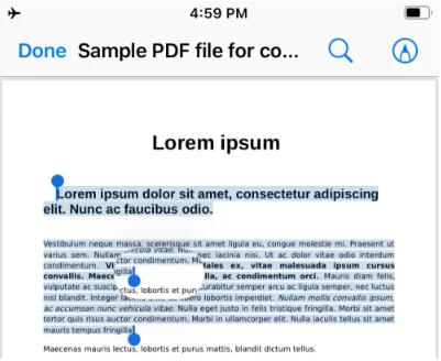 在iPhone上从PDF获取文本的3种方法