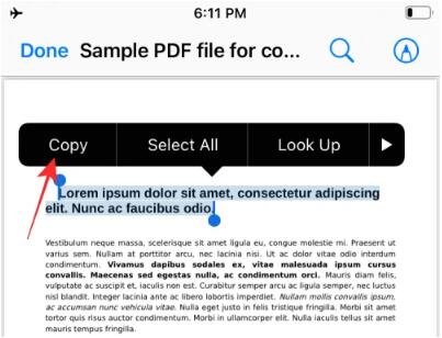 在iPhone上从PDF获取文本的3种方法
